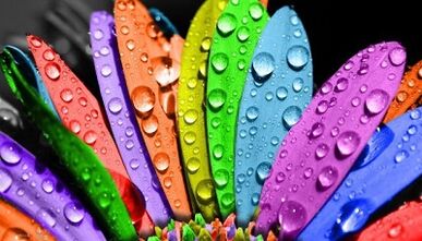 ինչպես նիհարել 6 թերթիկներով դիետայի վրա